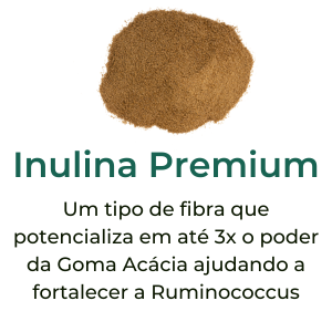 Inulina Premium