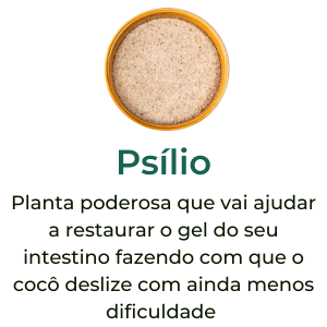 Psílio